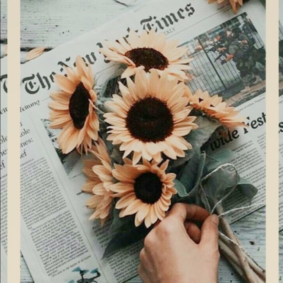 Meet your Posher, Sarah - Picture 1 of 1